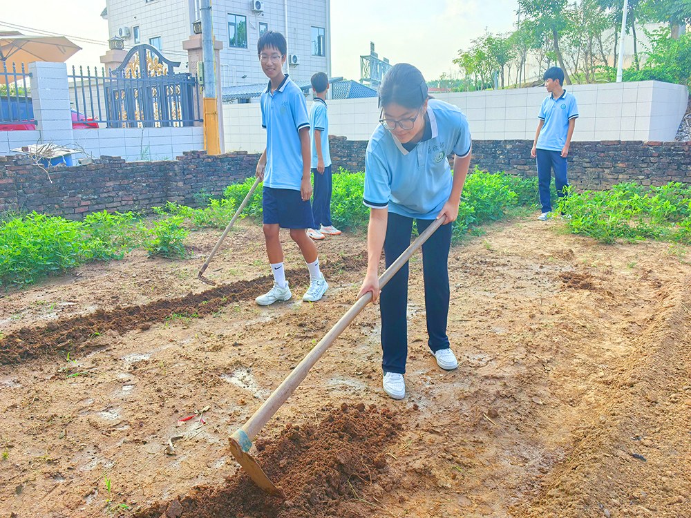 郴州叛逆孩子素质教育学校具体位置与选择指南